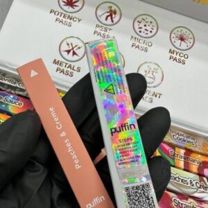 puffin disposable |puffin dispo